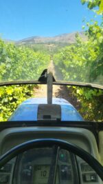 Caja de 6 - Abrecaminos Godello 100% D.O Valdeorras - Imagen 6