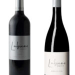 Pack 6 botellas - Dominio Lubiano 6 y 14 meses