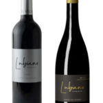 Pack 6 botellas - Dominio Lubiano 6 meses y Edición Limitada